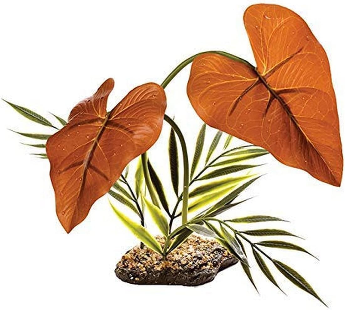 Komodo Rainforest Canopy,Brown