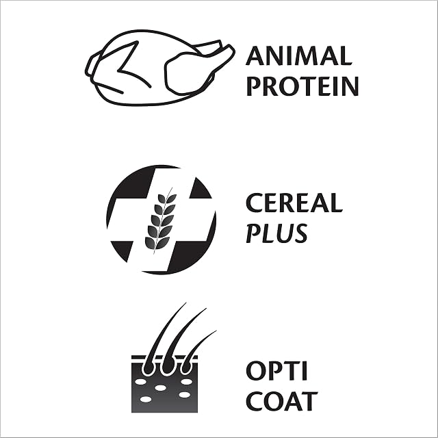 Foto 4 de 5 de VERSELE-LAGA - Complete Hamster & Gerbil - Pienso extrusionado Todo en uno Rico en proteínas - 2kg