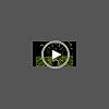 61fbxvvzhdl.ss40 Bg85,85,85 Br 120 Pkdp Play Icon Overlay - Backyard Waterpark with Splash Wheel, Dump Buckets for Kids Outdoor Water Play