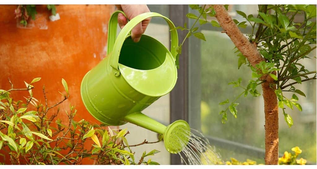 Rozpylacz Konewka Konewki Zraszacz Konewka Konewka Konewka Sadzarki Na Wesele Dekoracja Ogrodu Domu Konewka Opryskiwacz (Color : Groen)