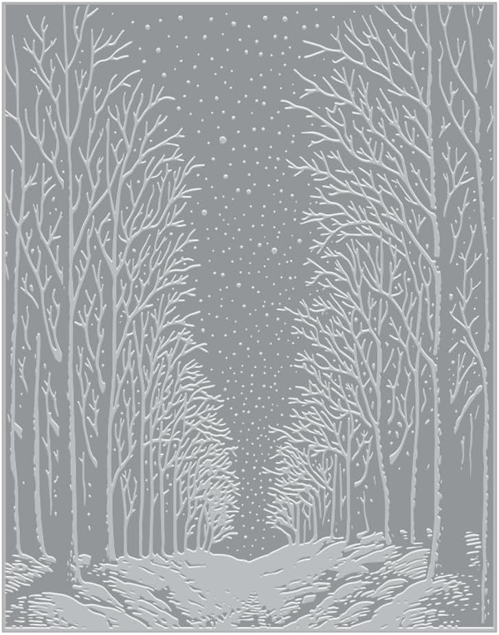 Hero Arts HP101 Snowy Night Letterpress and Foil Plate