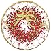 Caspari Entertaining Pepper Berry Dinner Plates, Red, 8-Pack