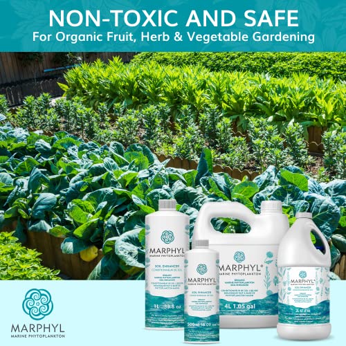 Engrais Hydroponique 6 Flacons A+B - Nutriments Pour Légumes, Fruits, Plantes En Culture Hors-sol (100ml Par Flacon)