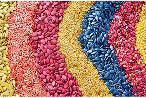 Langlebige abnehmbare Kaffeemühle Hand Elektrische Mini Home Küche Salz Pfeffer Gewürzmühle Nüsse Kaffeesamen Mühle – Bild 8