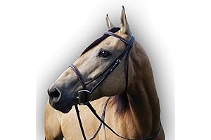 The Ultimate Horse Bridle: Comfort and Control for Your Beloved Equine