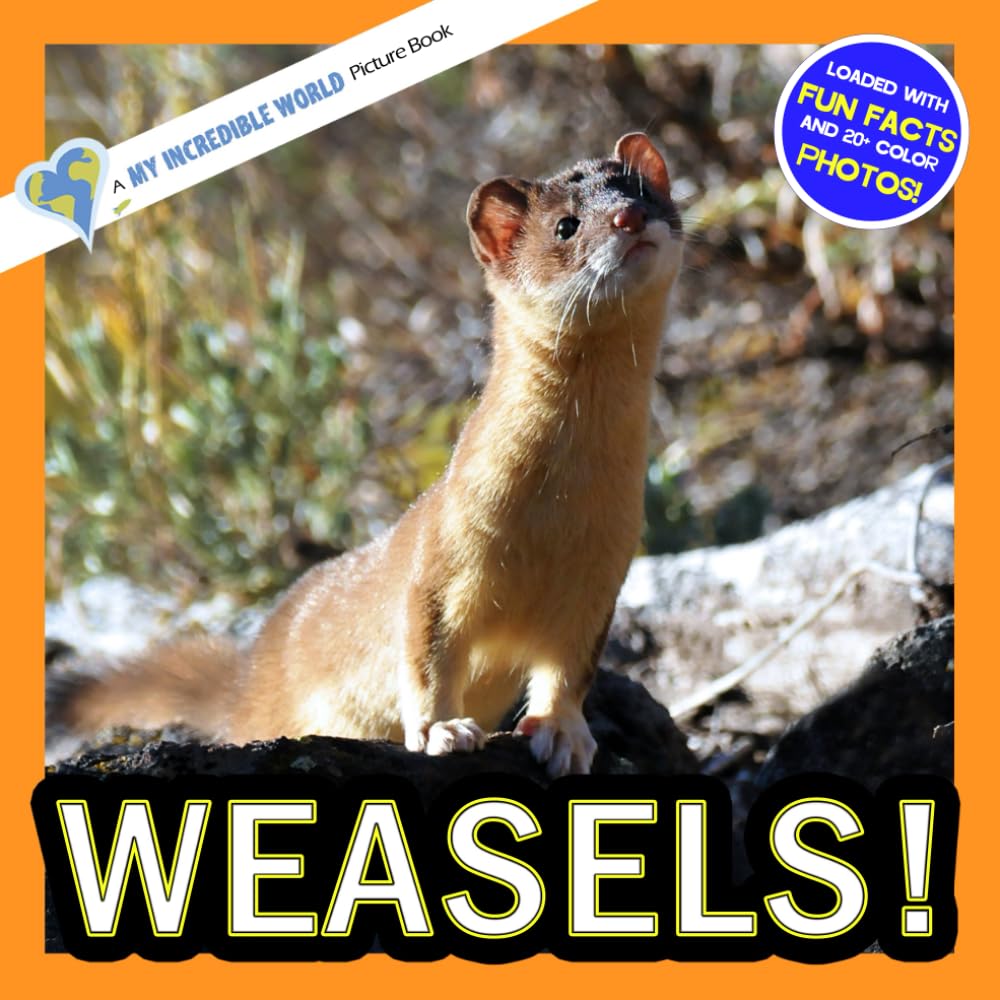 Weasels!: A My Incredible World Picture Book for Children (My Incredible World: Nature and Animal Picture Books for Children)