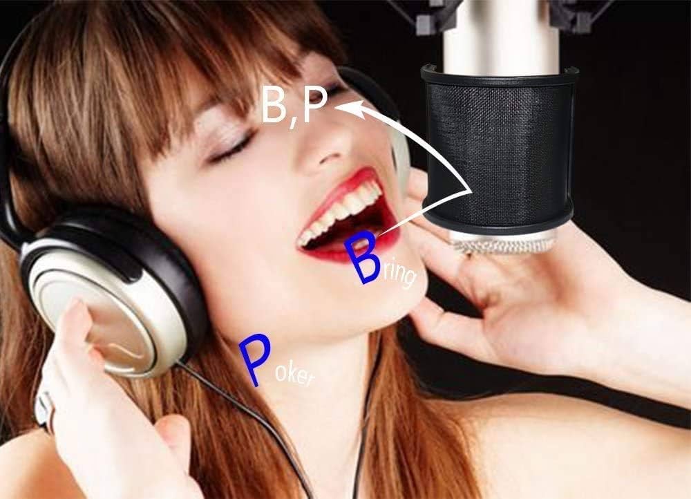 【ほぼ未使用】マイク ※別売りの防音フィルタも付けます Amazon | SAKUYU マイクポップガード ポップガード マイク