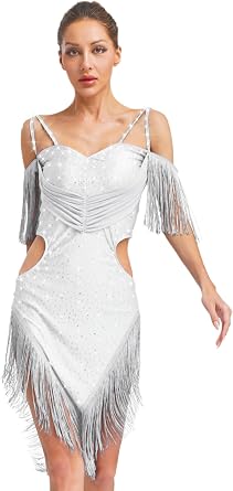 Women Latin Dance Cha-Cha Tango Performance Costume Ballroom Salsa Cha Cha Dance Party Dress