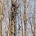 Summit Treestands 30' Bow Rope