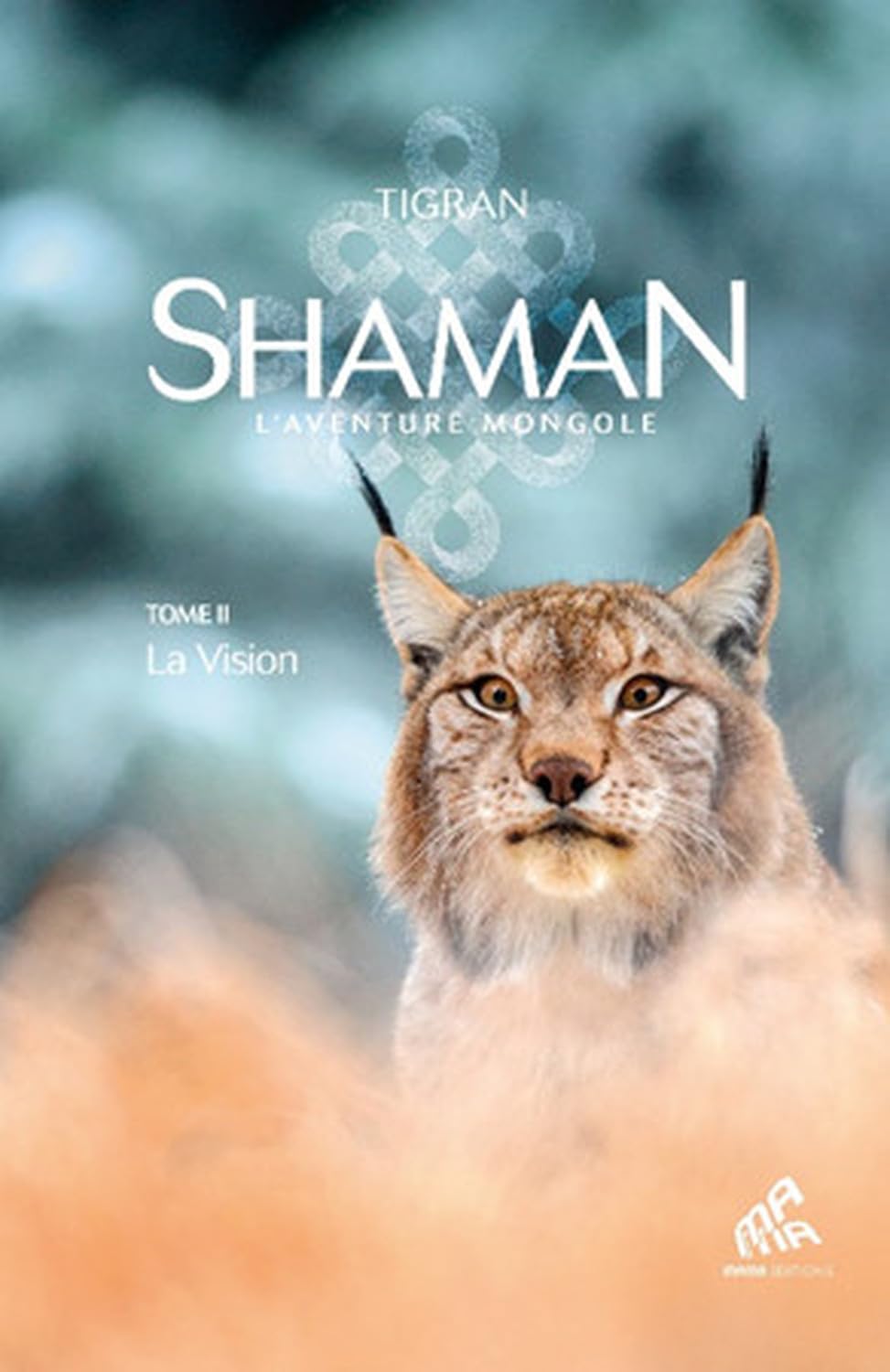 Shaman, La trilogie : Tome 2, La Vision: La Vision