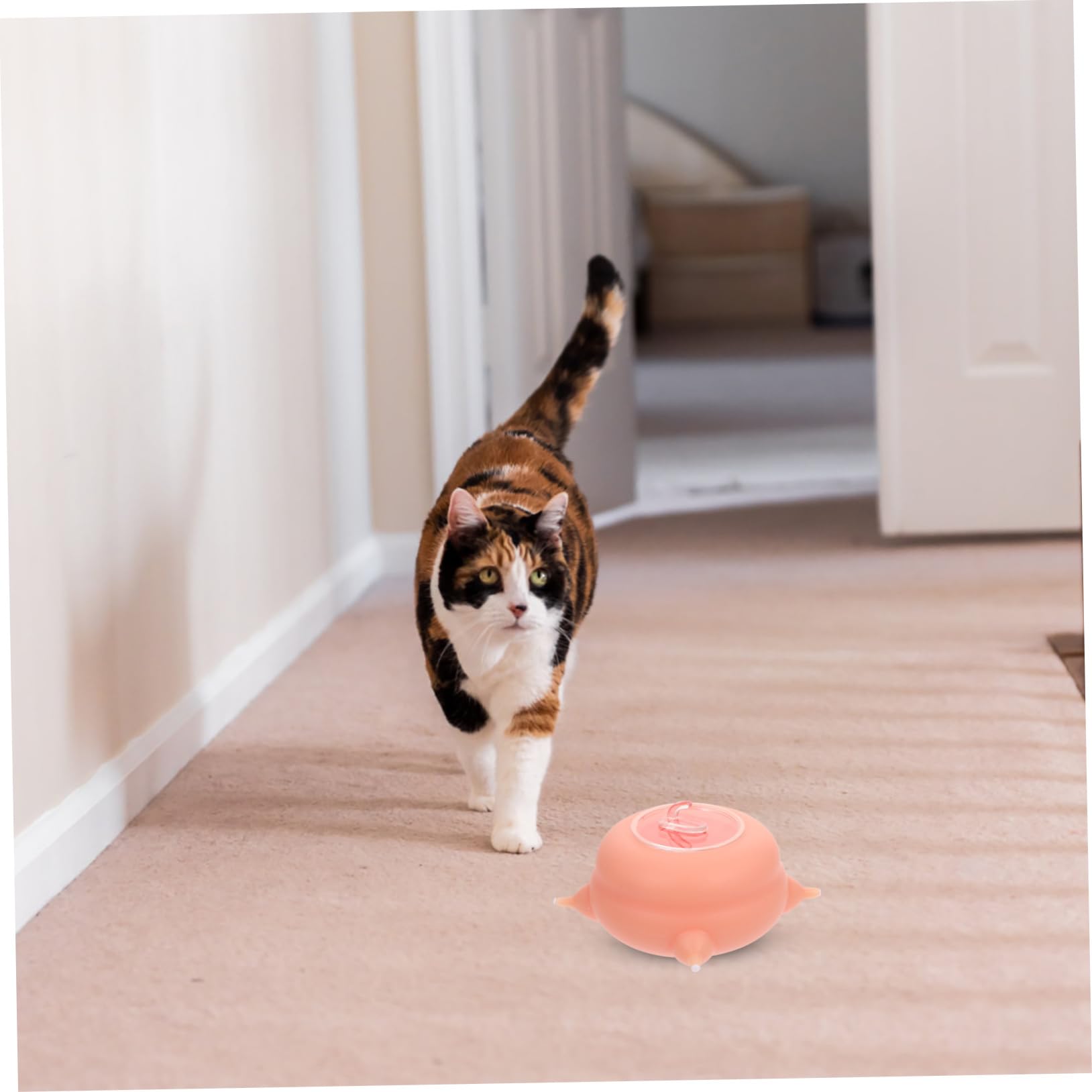Biberon per Animali Domestici in Silicone Resistente ad Alta Temperatura Tettarelle Multiuso per Cuccioli Gattini Accessorio per Allattamento Facile da Pulire