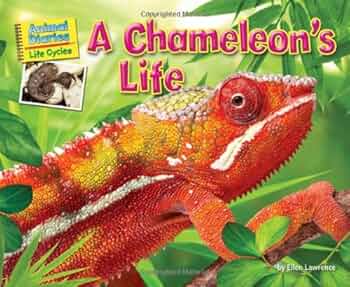 CHAMELEON LIFE 東京 amazarashi ① Chameleon - Zoozoo Animal World - Hameray Publishing