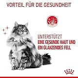 Royal Canin FCN Hair & Skin Loaf | 12 x 85 g | Alleinfuttermittel für ausgewachsene Katzen (Mousse) | Kann zu einem gesunden Fell beitragen | Kann dabei helfen das Fell zu unterstützen