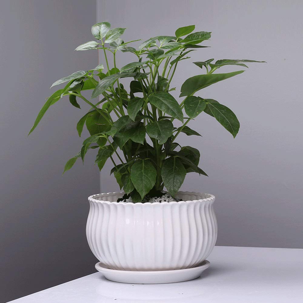 para hierbas suculentas cerámica cerámica arcilla macetas interior exterior macetas primavera porcelana maceta balcón decoración regalo jardín macetero con bandeja de goteo en recipiente decorativo