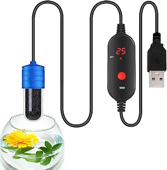 61FC2nirJeL._AC_UF350,