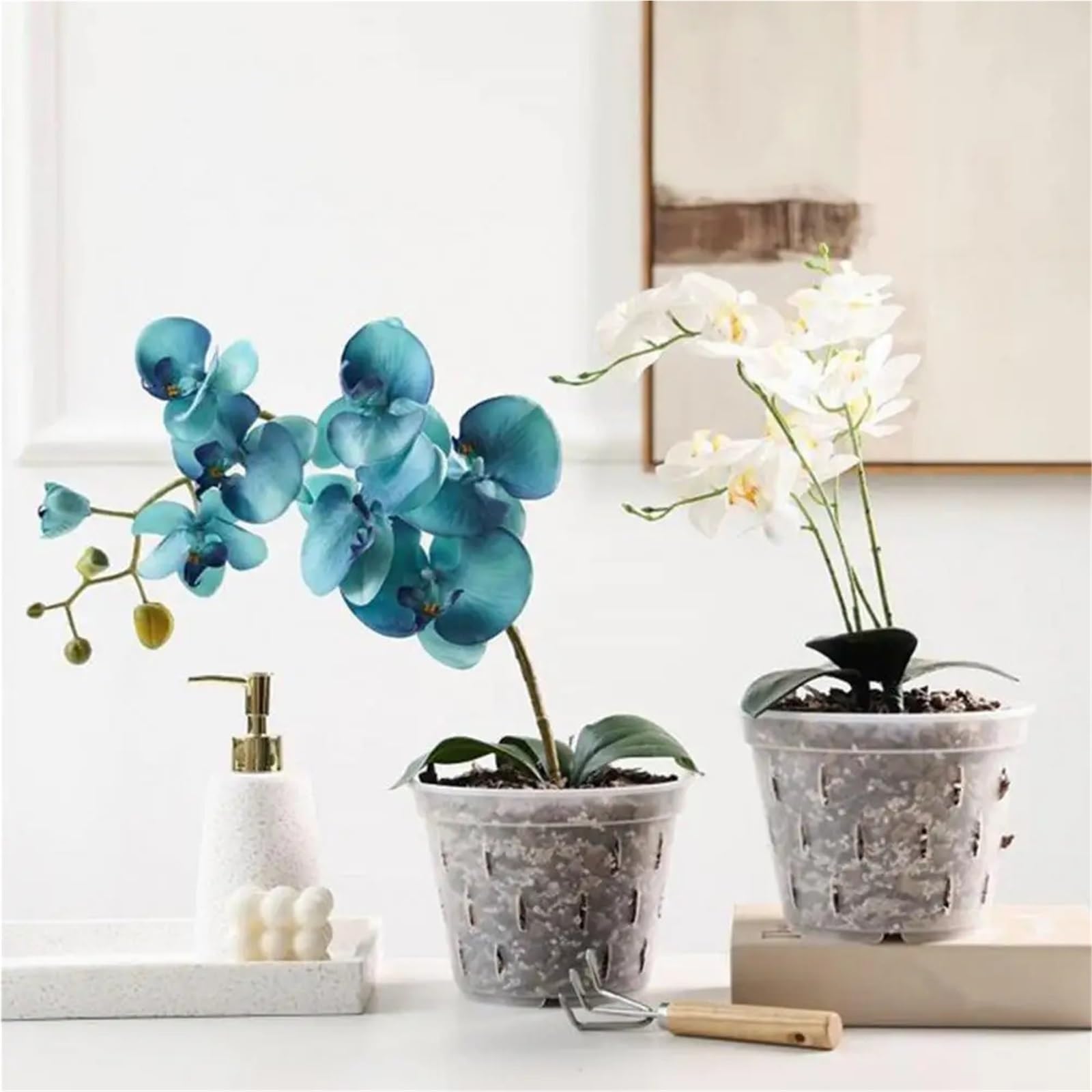 Lot de 10 Pots à orchidées Transparents avec Trous, en Plastique ventilé, for rempoter et cultiver des extérieur pour Intérieur, Jardin(15cm)