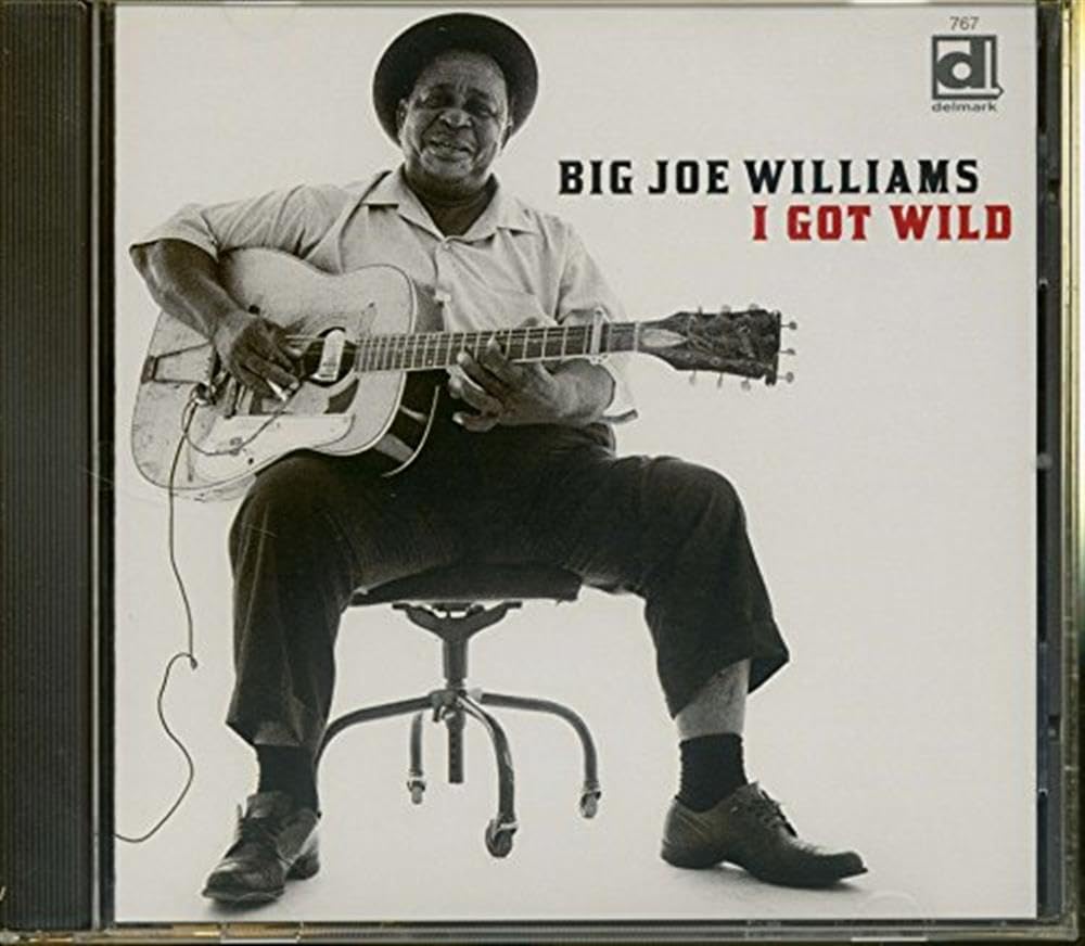 Big Joe Williams I Got Wild  (CD)  Album Chicago Blues NM / EX CONDITION