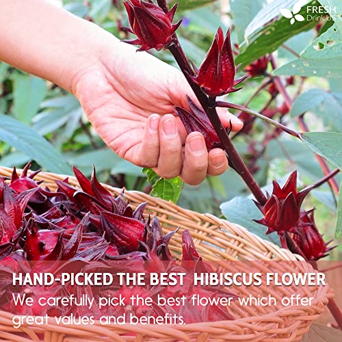 Premium 120 Hibiscus Tea Bags, Pure, Organic, Non-Gmo, Made Of 100% Hibiscus Flowers. Loose Flower Hibiscus Herbal Tea. Hibiscus Flower Tea. No Sugar, No Caffeine, No Gluten, No Sugar, Vegan. #TOP5