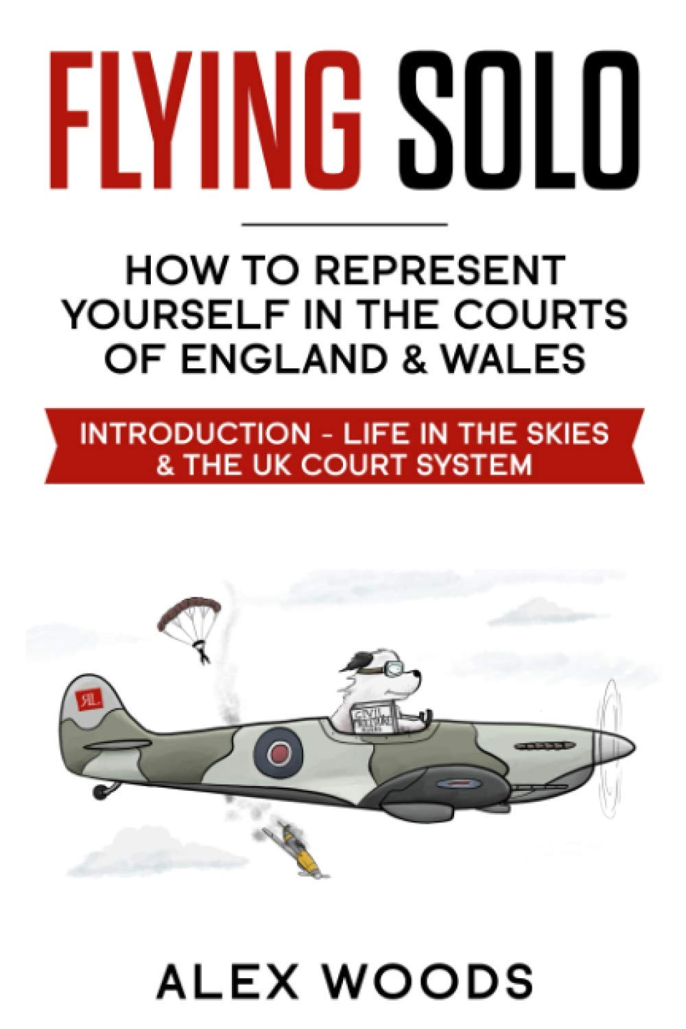 Flying Solo: Representing Yourself in the County Courts of England & Wales