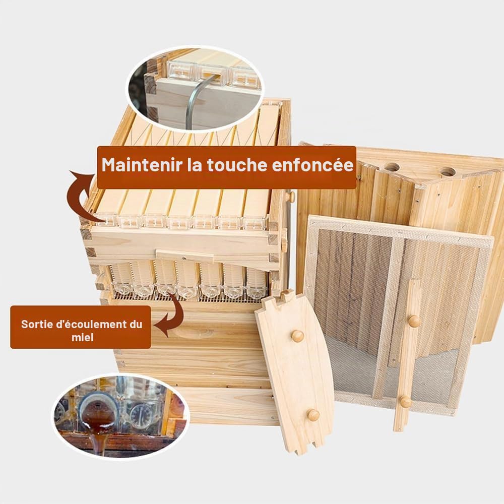 Beehive Kit de ruche automatique en bois avec 7 nids d'abeilles et cadre de qualité alimentaire sans BPA pour débutants et apiculteurs professionnels