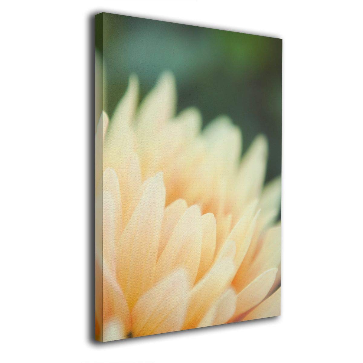 Tour Edge Hot Launch E525 VIBRCOR Lob Wedge 60* (Graphite UST Helium Black, Senior, Left) 2025