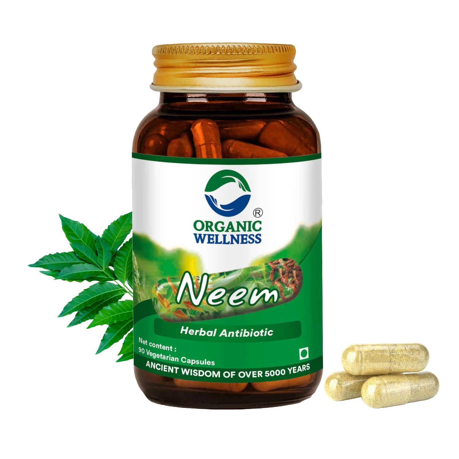 Neem Ayurvedic Capsules Blood Purifier Anti Acne Anti Bacterial & Fungal infections Improves Skin Health 100% Organic & Safe (90 N Veg Capsules)