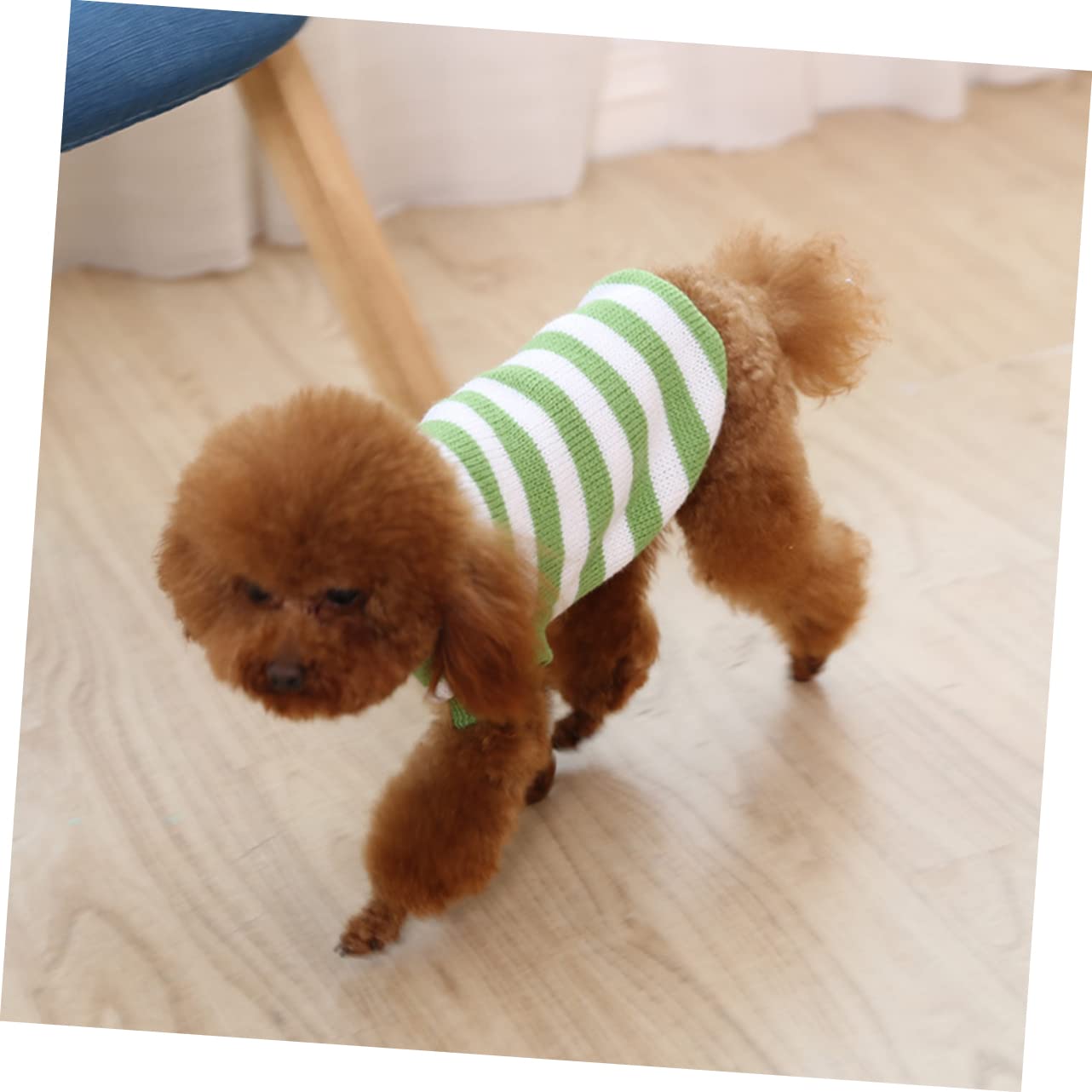 BESPORTBLE 3 Pezzi Di Vestiti Per Animali Domestici Maglione Per Cani Maglione Per Animali Domestici Costume Da Festa Per Animali Vestiti Per Cani Da Festa Panno Per Cani Vestiti Da Festa