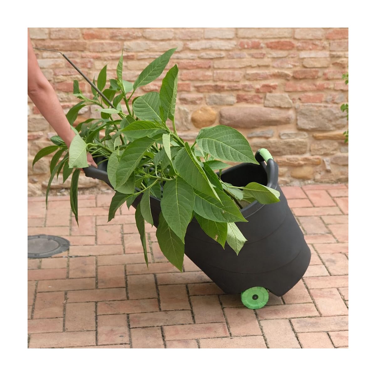 KZ GARDEN - Chariot de jardin 62L 2 roues - Transport Bois, Terreau, Plantes Trolley Plastique robuste recyclé Noir