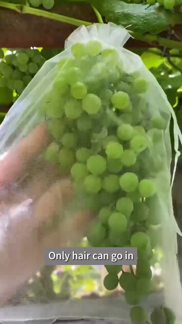 CHUYIX Traubenschutzbeutel 30 Stück - Netzbeutel Mit Zugband Für Obst