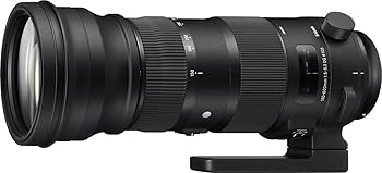 SIGMA 150-600mm F5-6.3 DG sports+α Amazon.com : Sigma 150-600mm 5-6.3 Sports DG OS HSM Lens for Canon