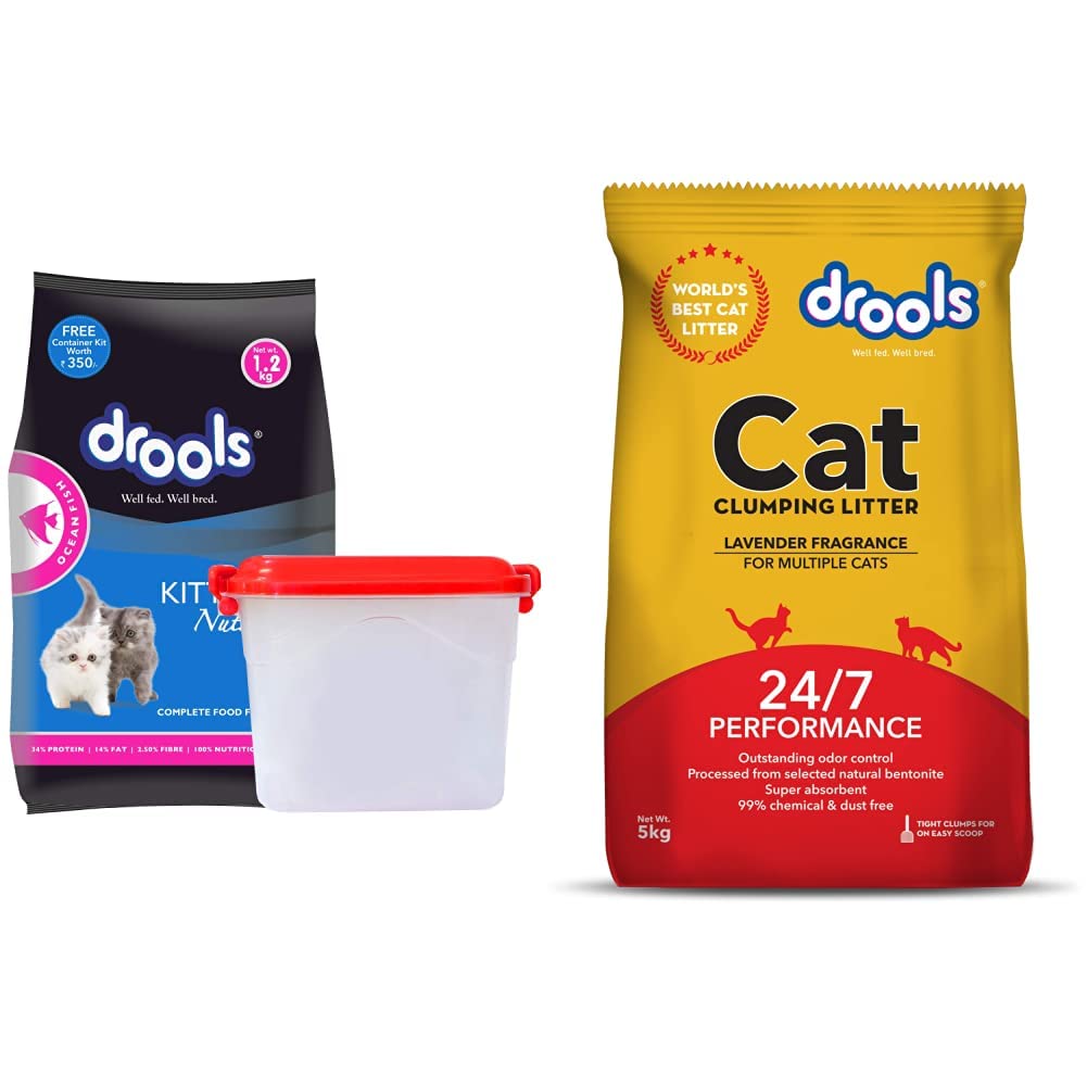 Drools Kitten(112 Months) Dry Cat Food, Ocean Fish, 1.2kg with Free