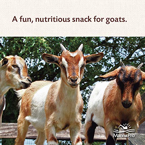 Manna-Pro-Goat-Treats