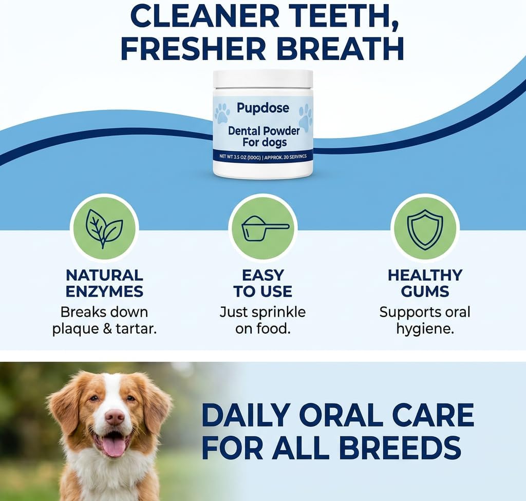 Powder, Fresh Breath Oral Care, 100 Scoops, 3.52oz image 3