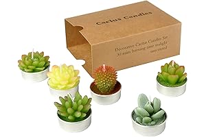Minuscule Delights: Cactus Tealight Candles for Women