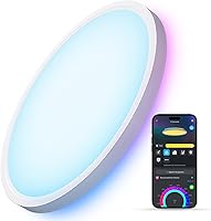 Govee RGBIC Smart Ceiling Light 12 Inch Flush Mount, 2400LM Alexa LED Fixture, DIY Colors 2200K-6500K for Bedroom Living Room
