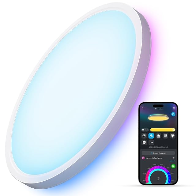 Govee Smart Ceiling Light RGBIC LED Ceiling Light Fixture 2400LM Flush Mount Light Fixture DIY Colors Works with