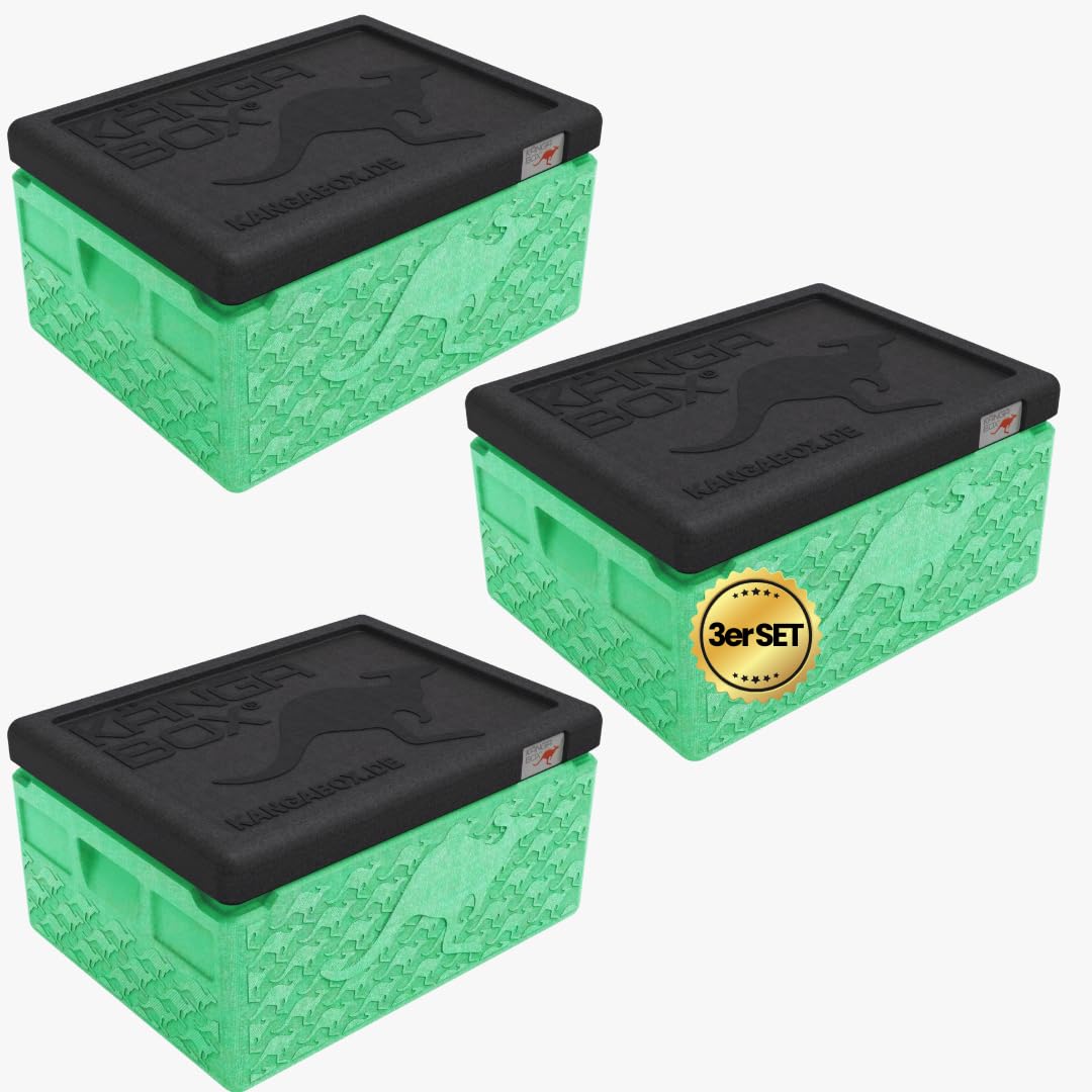 Mini EX3075 - Contenitore termico, da 1,5 L, stabile, leggero e impilabile; ideale come borsa frigo o come contenitore, per accessori foto fragili e per ghiaccio e cioccolato; per pic-nic, viaggi, scuola e lavoro; colori assortiti