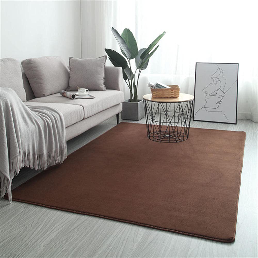 Tapis de chambre à coucher douillet LUNEZY en velours corail lavable