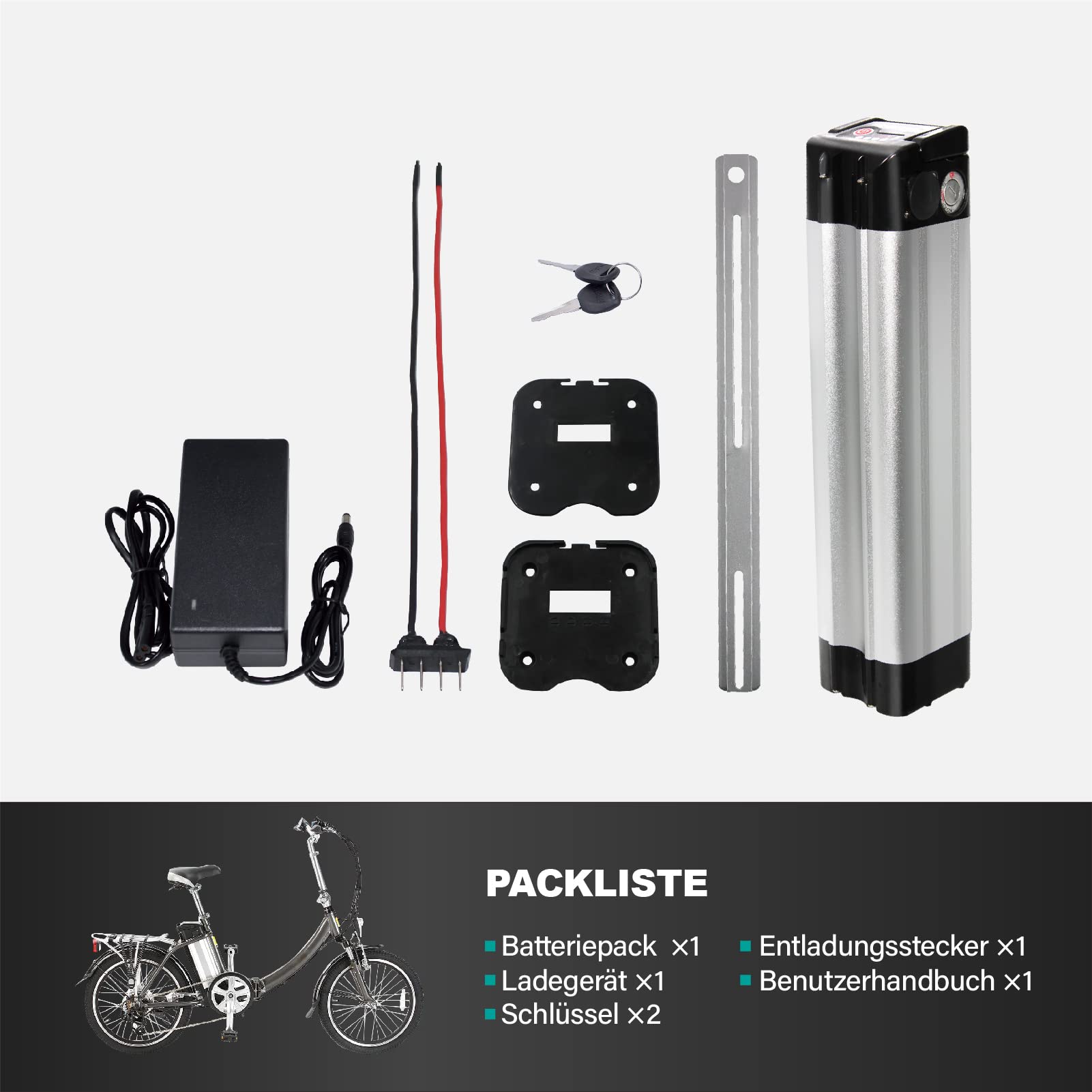 Con caricabatteria 24V 12Ah e-bike batteria Li-Ion bici elettrica forma whitebait per Phylion, MiFa, Rex, Prophete (24V12Ah)