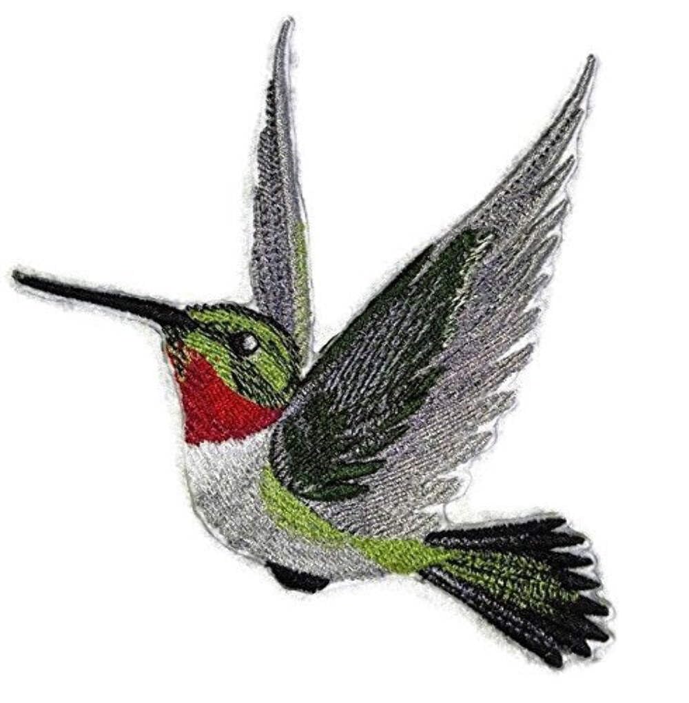 Nature Weaved in Threads, Amazing Birds Kingdom [Hummingbird ] [Custom and Unique] Embroidered Iron on/Sew Patch [4.28" *4.2"] [Made in USA]