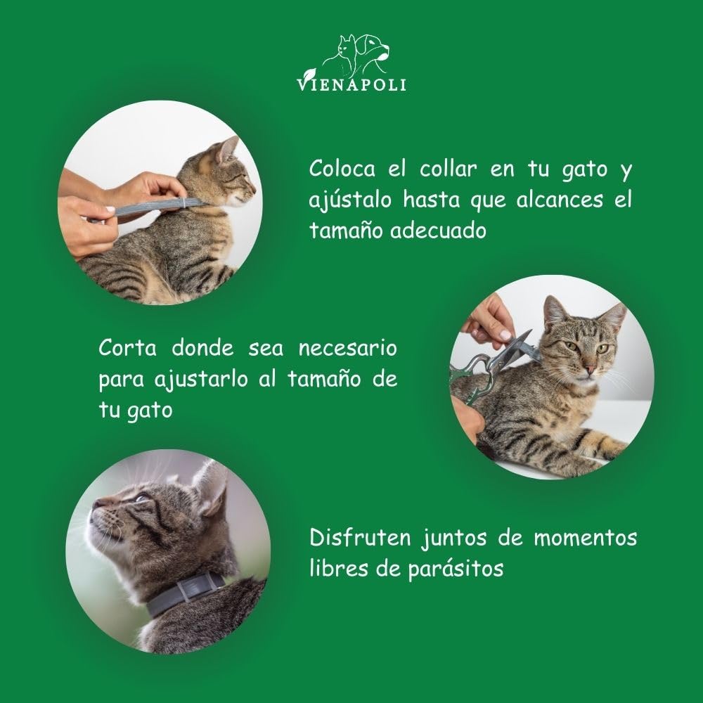 Collar antipulgas y garrapatas para Gatos, Resistente al Aqua, protección Activa de hasta 8 Meses, 33 centimetros, para qualquier tamaño de Gato