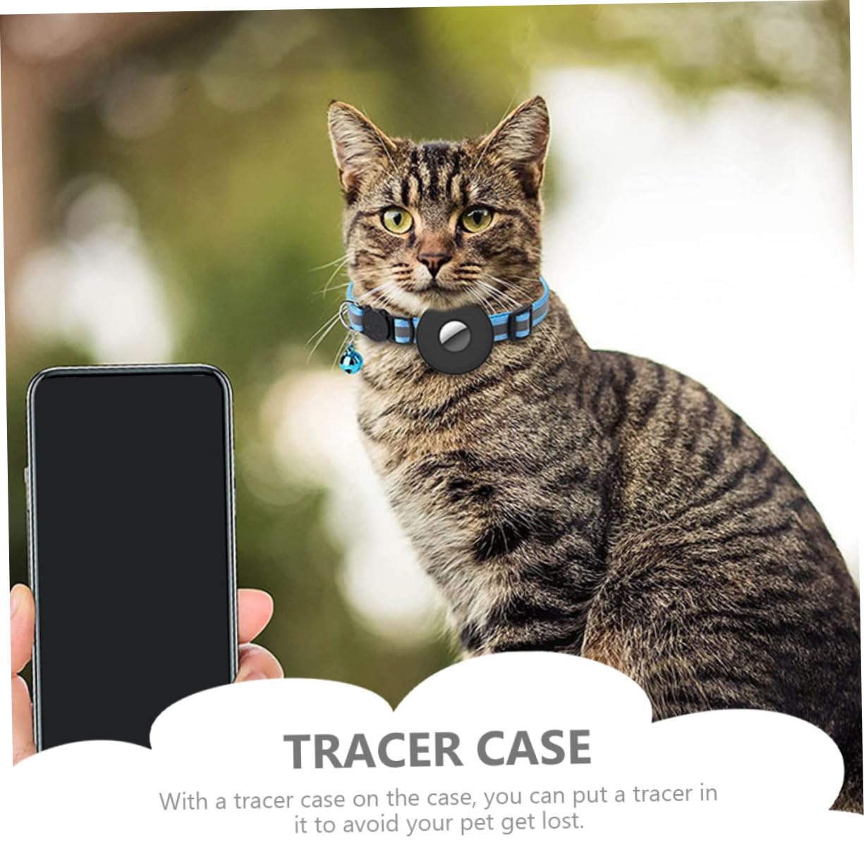 Kisangel 5pièces Collier pour Chat Réfléchissant avec Cloche Et Support Collier Ajustable pour Animaux De Compagnie pour Éviter Les Pertes pour Occasions Spéciales