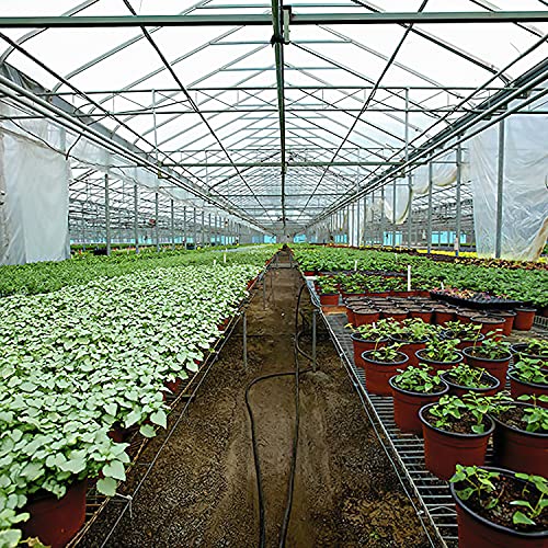 Grelwt Greenhouse Plastic Sheeting 8X25 Ft thumb #5