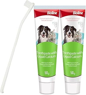 magic dog toothbrush