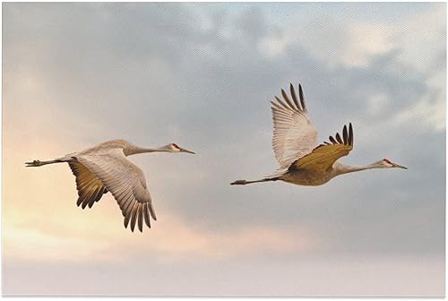Póster de lienzo con diseño de grúas voladoras de Sandhill Cranes para decoración de dormitorio, paisaje deportivo, oficina, habitación, regalo,