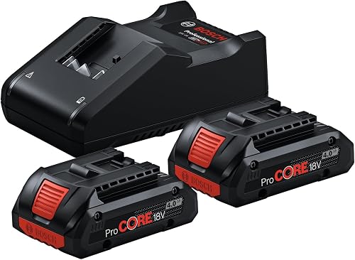 Professional 18V System Starter-Set batteries : 2 batterie Bosch