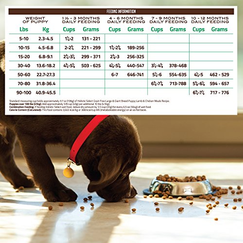 Holistic Select Natural Grain Free Dry Dog Food, Large & Giant Breed Puppy Recipe, 24-Pound Bag #TOP5
