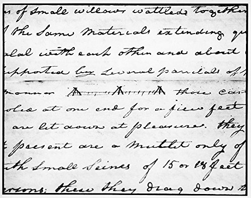 Lewis & Clark Fish Weir Ndetail Of An Entry In William ClarkS Journal Of The Lewis And Clark Expedition 29 April 1806 Showing Part Of A Description Of A Native American Fish Weir On The Walla Walla Ri