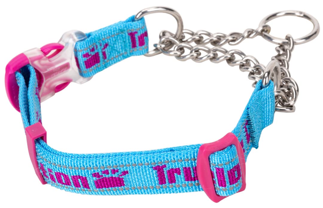 Amazon | cocomall 引っ張ると首が締まるタイプ トレーニング犬首輪