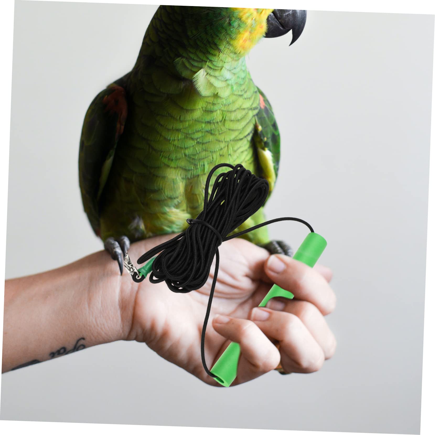 ORFOFE 2 Correas para Loros Arneses para Pájaros Cuerda de Liberación Ligera para Volar al Aire